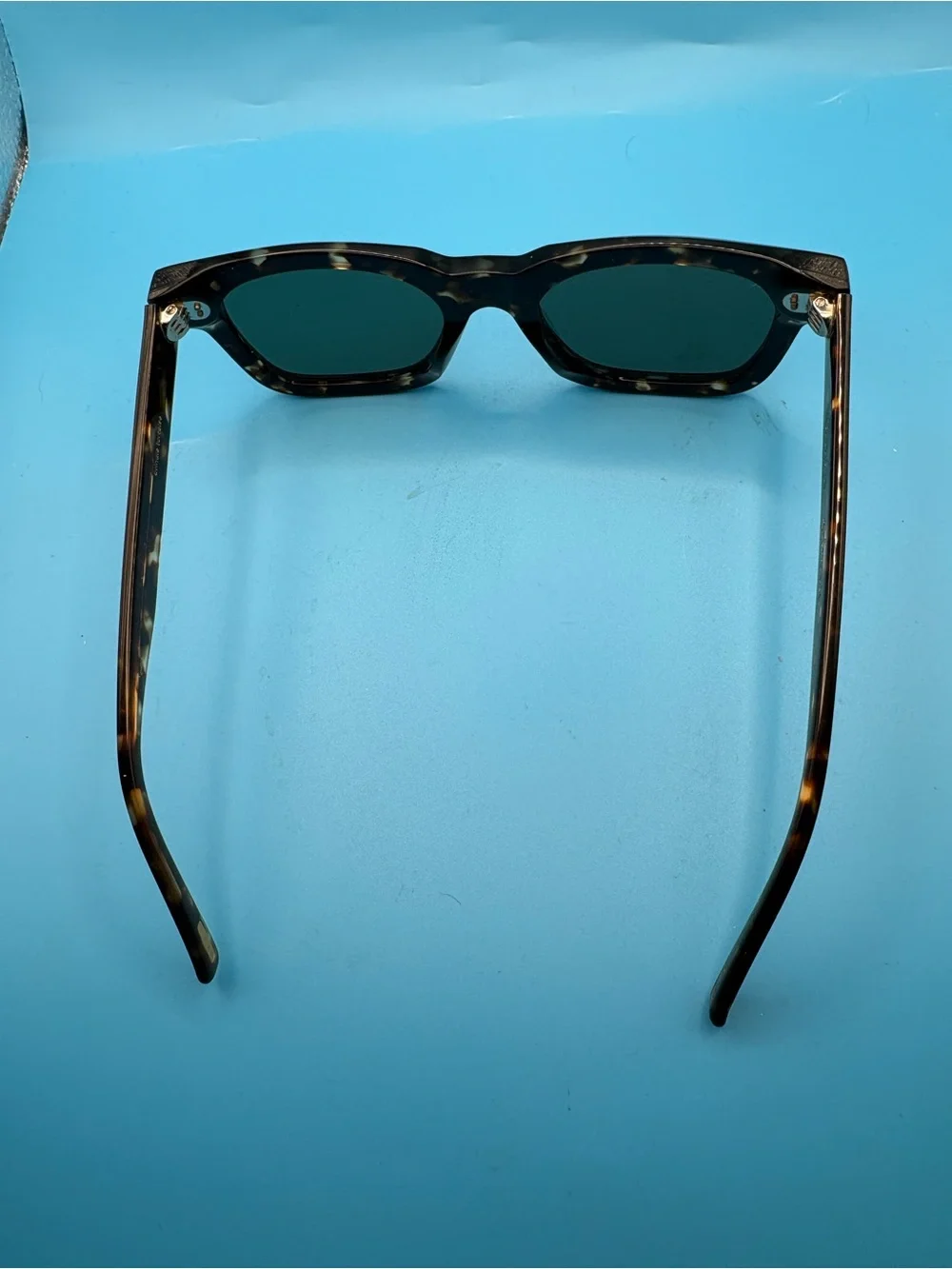 RAEN Gilman Tortoise Frame Sunglasses with Green Lenses